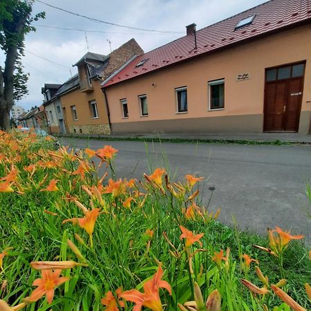 Hotel Kis Rigo Vendeghaz Salgótarján Zewnętrze zdjęcie